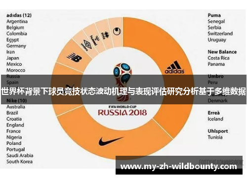 世界杯背景下球员竞技状态波动机理与表现评估研究分析基于多维数据