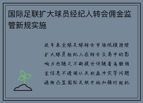 国际足联扩大球员经纪人转会佣金监管新规实施 国际足联扩大球员经纪人转会佣金监管新规实施