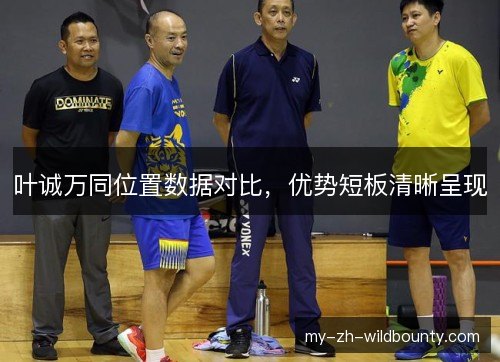 叶诚万同位置数据对比，优势短板清晰呈现