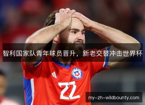 智利国家队青年球员晋升，新老交替冲击世界杯