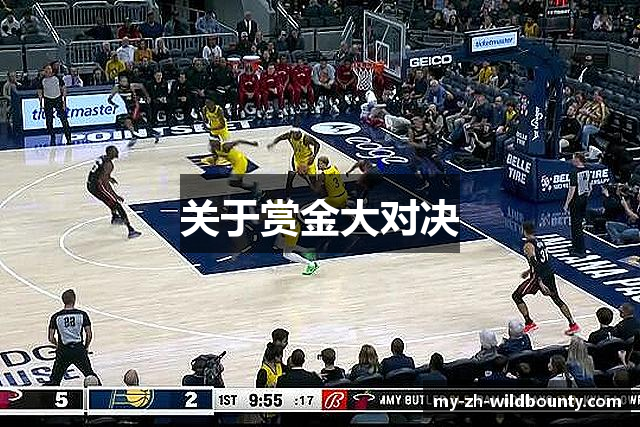 关于赏金大对决